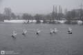 Wintersport in Duisburg