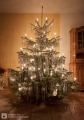 Weihnachtsbaum