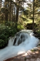 Avalanche Creek