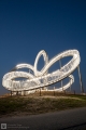 Tiger & Turtle