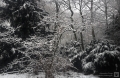 Schnee in Homberg