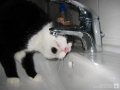 ... und dann erst trinken