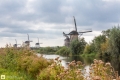 Kinderdijk