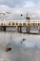 Kinderdijk