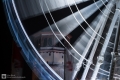 Wheel of Vision