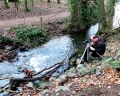 Entstehung des Bachlaufbildes