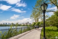 Central Park