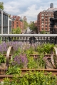 Highline