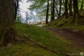 Schottlands Wälder