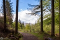 Glencoe
