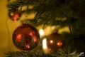 Details eines Weihnachtsbaums